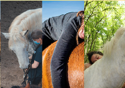 La découverte de soi grâce au cheval